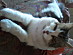 View full size picture