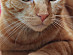 View full size picture