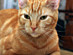 View full size picture