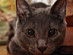 View full size picture