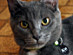 View full size picture