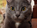 View full size picture