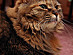 View full size picture