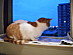 View full size picture