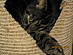 View full size picture
