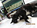 View full size picture