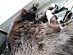 View full size picture