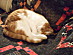 View full size picture