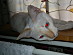 View full size picture