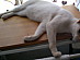 View full size picture