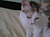 View full size picture