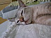 View full size picture