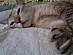 View full size picture