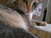 View full size picture