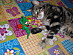 View full size picture