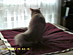 View full size picture