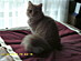 View full size picture