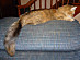 View full size picture