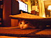 View full size picture