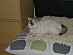 View full size picture