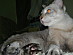 View full size picture
