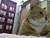 View full size picture