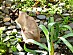 View full size picture