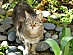 View full size picture