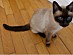 View full size picture