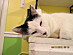 View full size picture