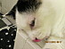 View full size picture