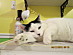 View full size picture