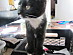 View full size picture