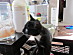 View full size picture
