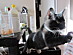 View full size picture