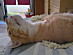 View full size picture
