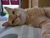 View full size picture