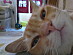 View full size picture