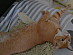 View full size picture