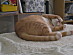 View full size picture