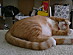 View full size picture
