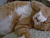 View full size picture