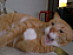 View full size picture