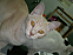 View full size picture