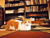 View full size picture