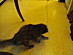 View full size picture