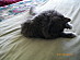 View full size picture