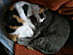 View full size picture