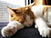 View full size picture