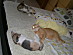 View full size picture